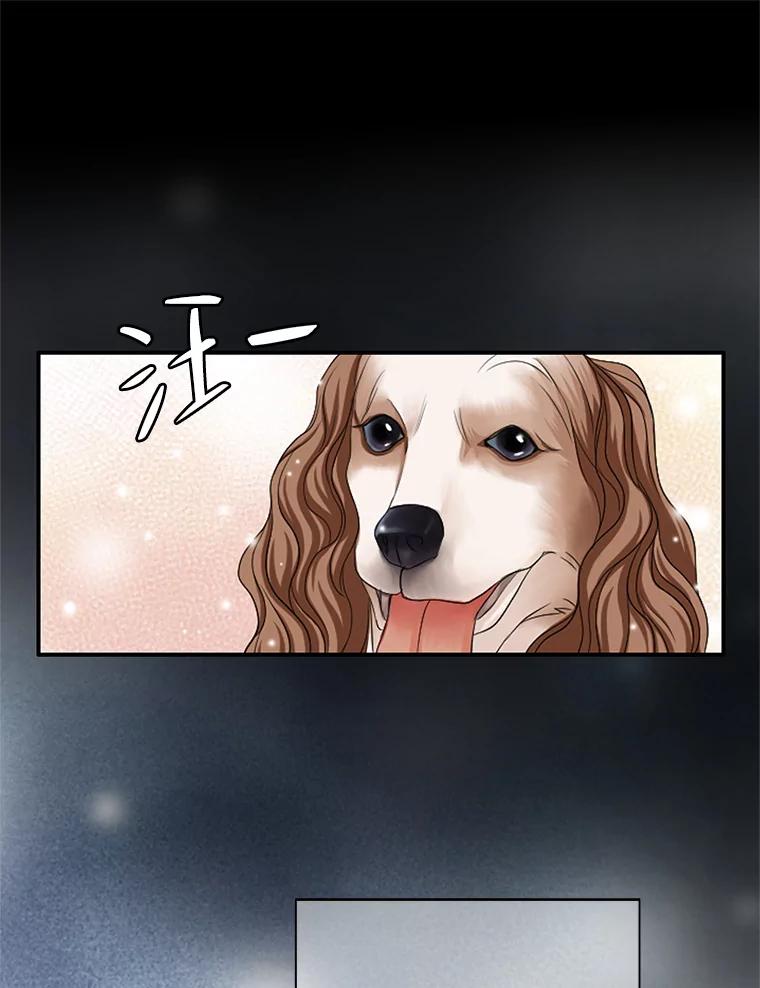 《第8位契约新娘》31.抵达都城 第50页