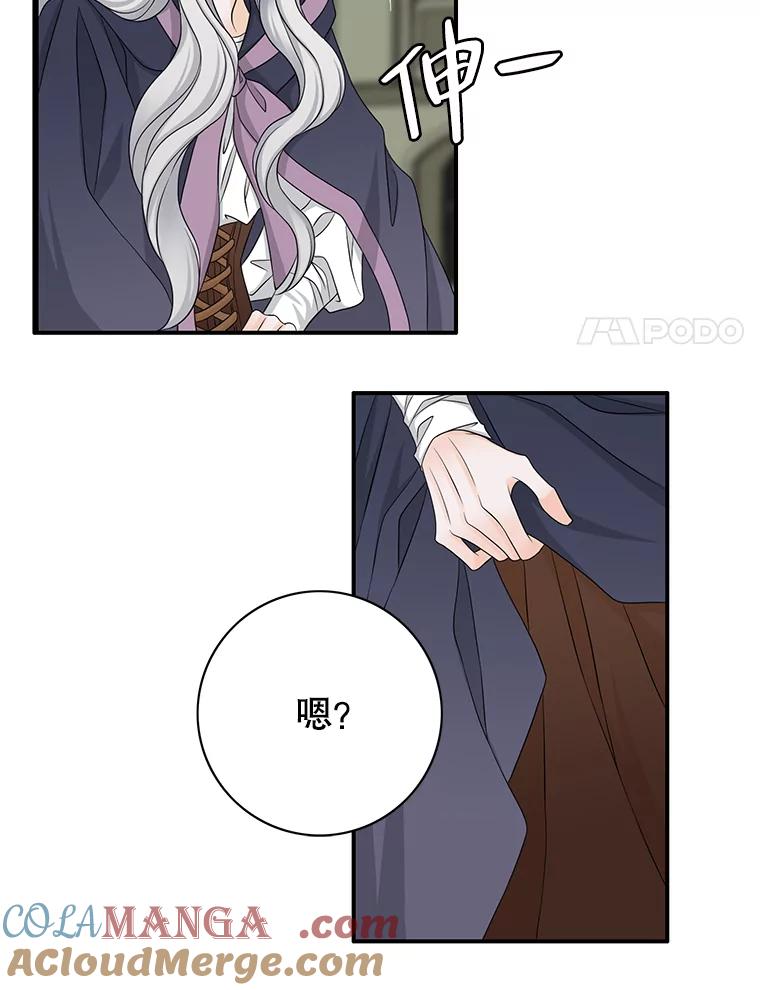 《第8位契约新娘》31.抵达都城 第97页