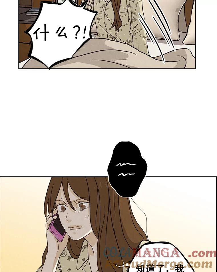 《消失的新郎》32.说的是什么鬼话 第28页