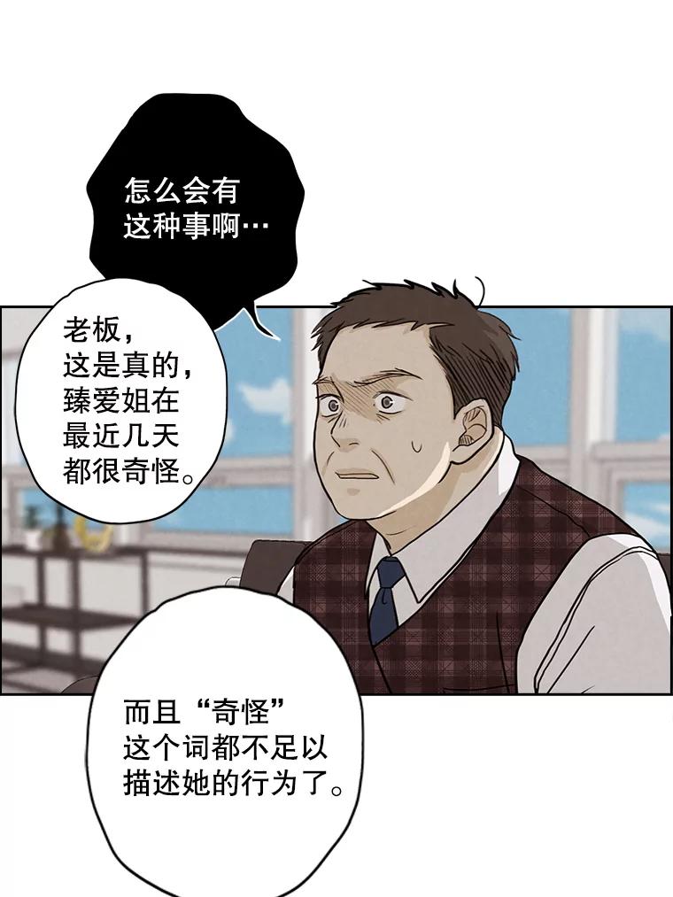 《消失的新郎》32.说的是什么鬼话 第9页