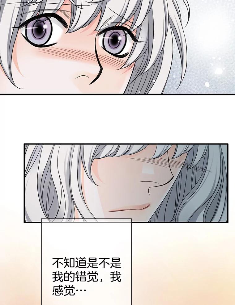 《第8位契约新娘》35.回到卢西亚府 第72页