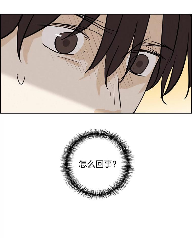 《消失的新郎》38.憾 第5页