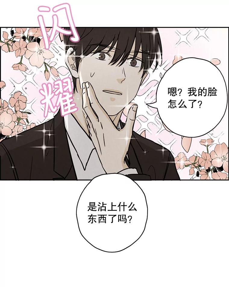 《消失的新郎》40.新来的经纪人 第33页
