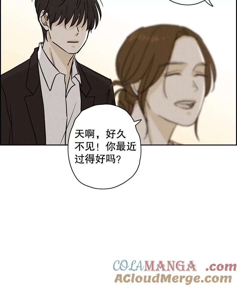 《消失的新郎》40.新来的经纪人 第52页