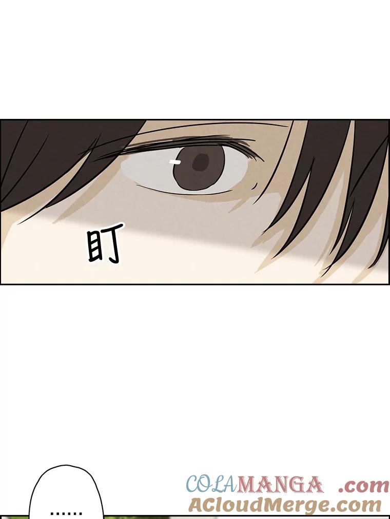 《消失的新郎》40.新来的经纪人 第76页