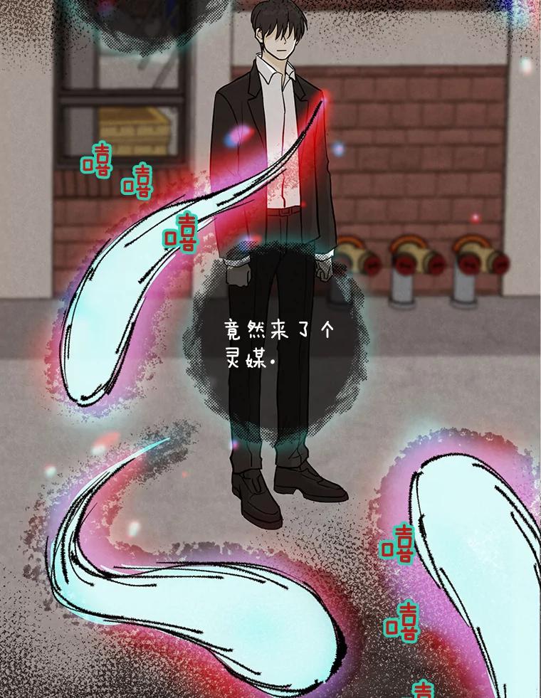 《消失的新郎》41.奇怪的灵歌 第36页