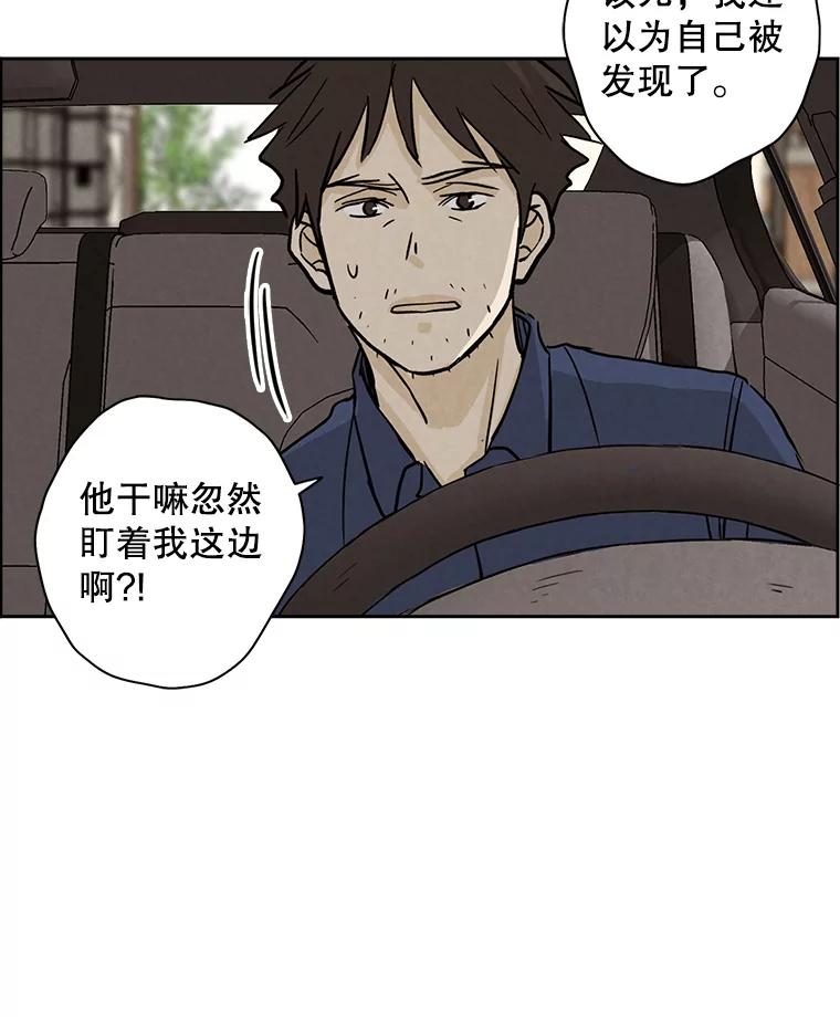 《消失的新郎》44.寻找亡灵 第48页