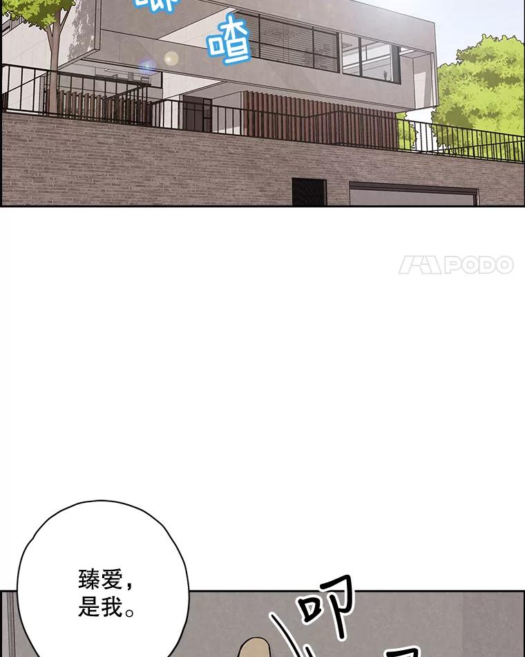《消失的新郎》44.寻找亡灵 第11页