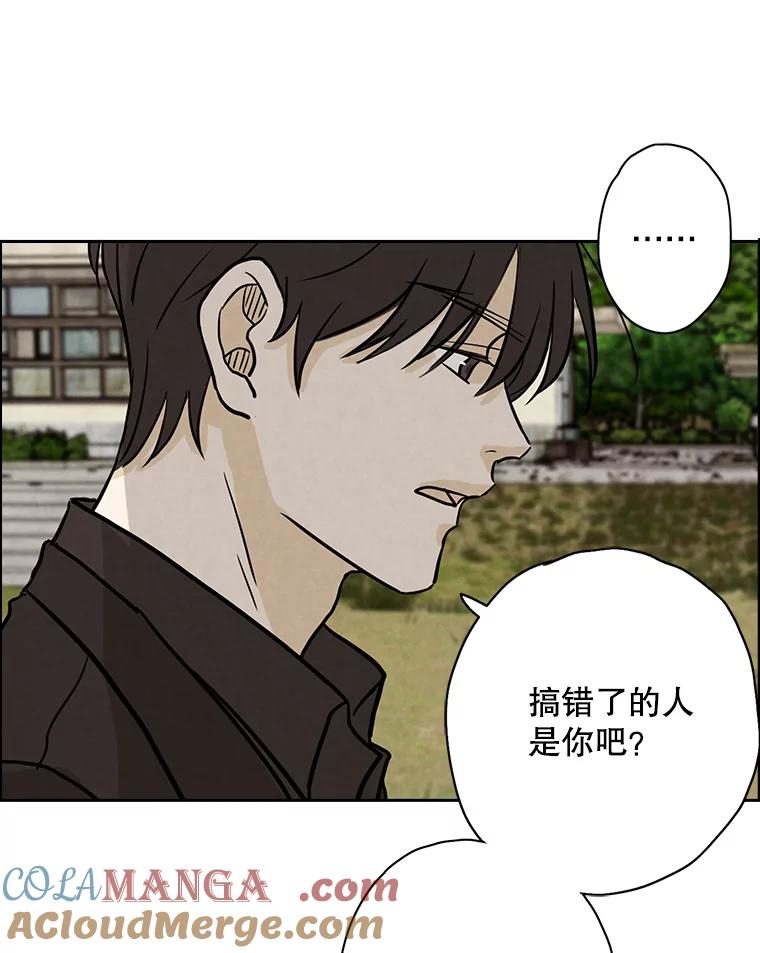 《消失的新郎》44.寻找亡灵 第85页