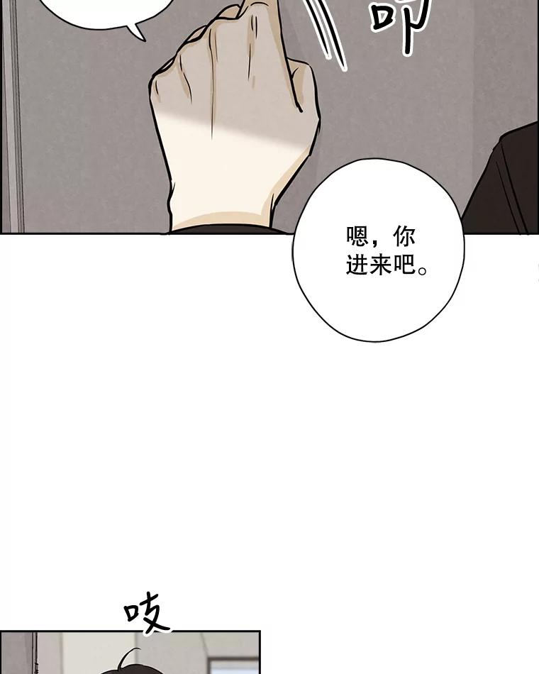 《消失的新郎》44.寻找亡灵 第12页