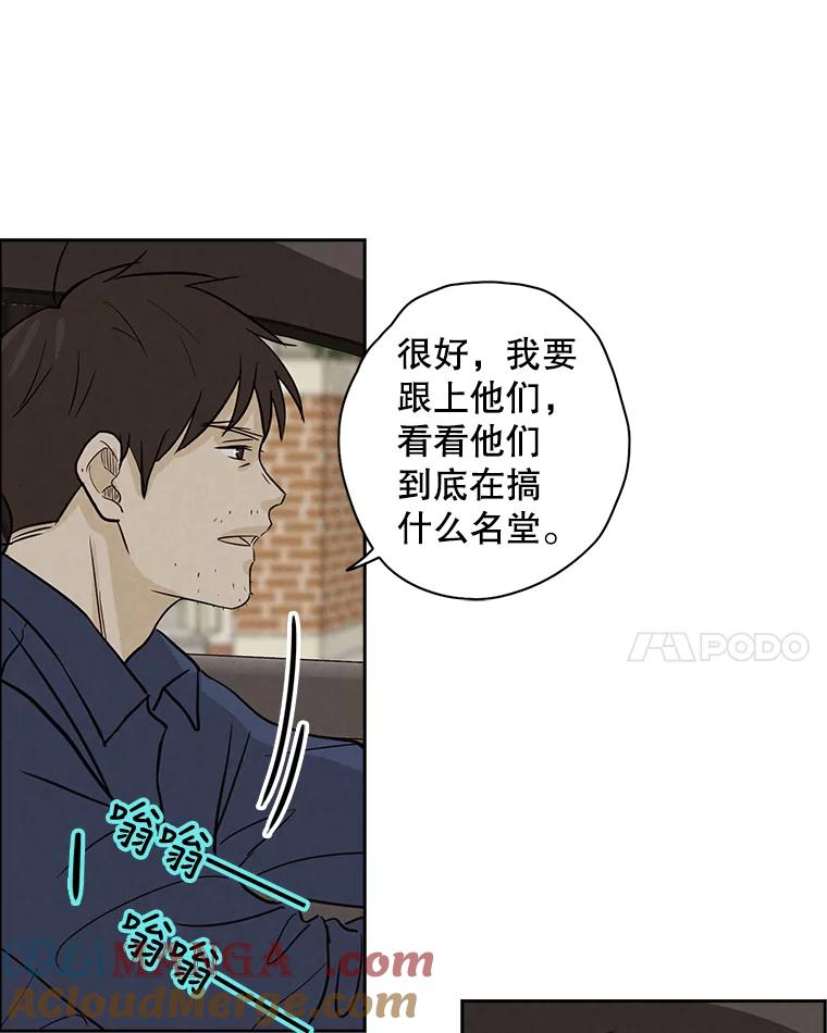 《消失的新郎》44.寻找亡灵 第49页