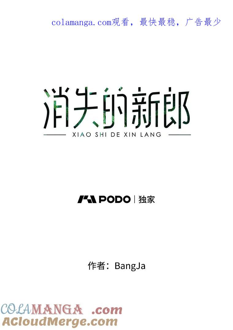 《消失的新郎》45.谜一样的男人 第1页