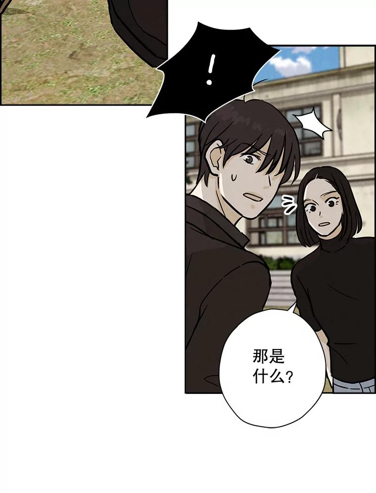 《消失的新郎》45.谜一样的男人 第19页