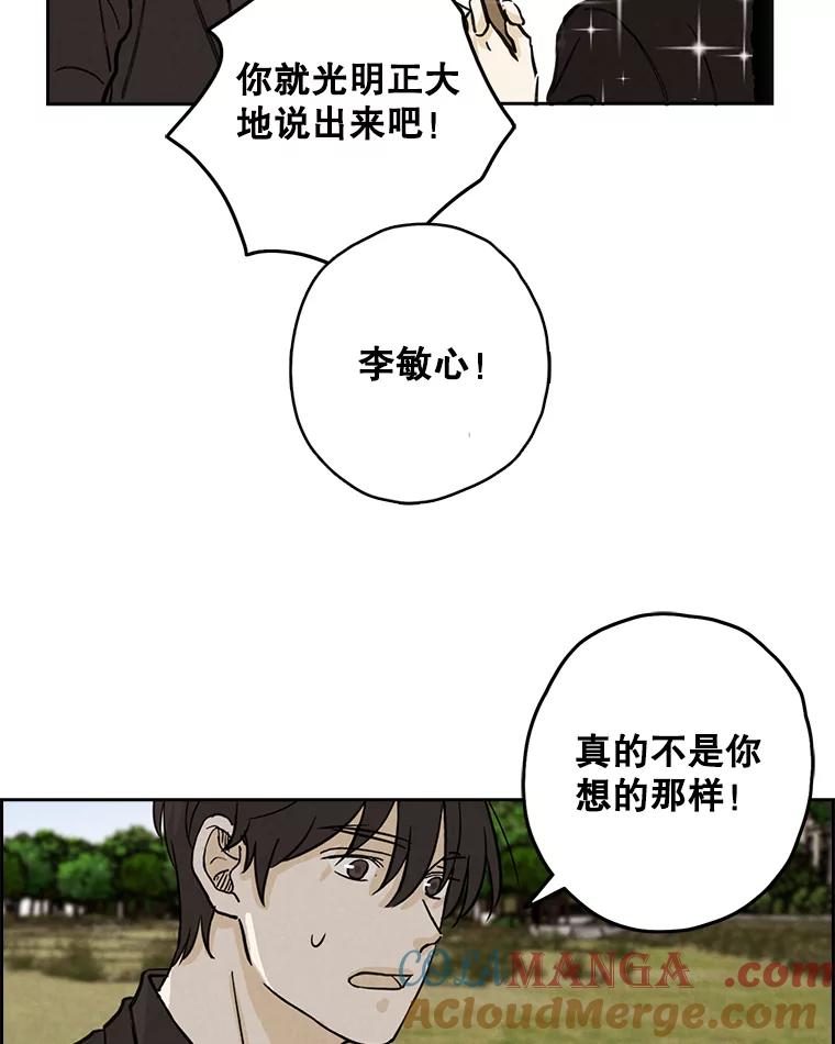《消失的新郎》45.谜一样的男人 第33页