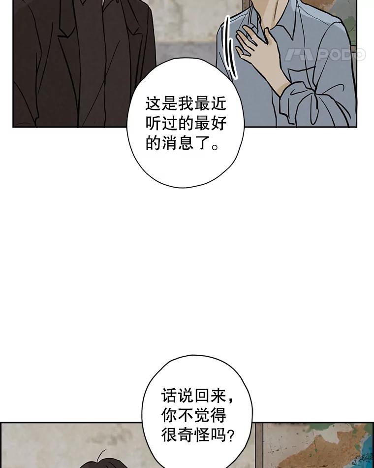 《消失的新郎》45.谜一样的男人 第52页