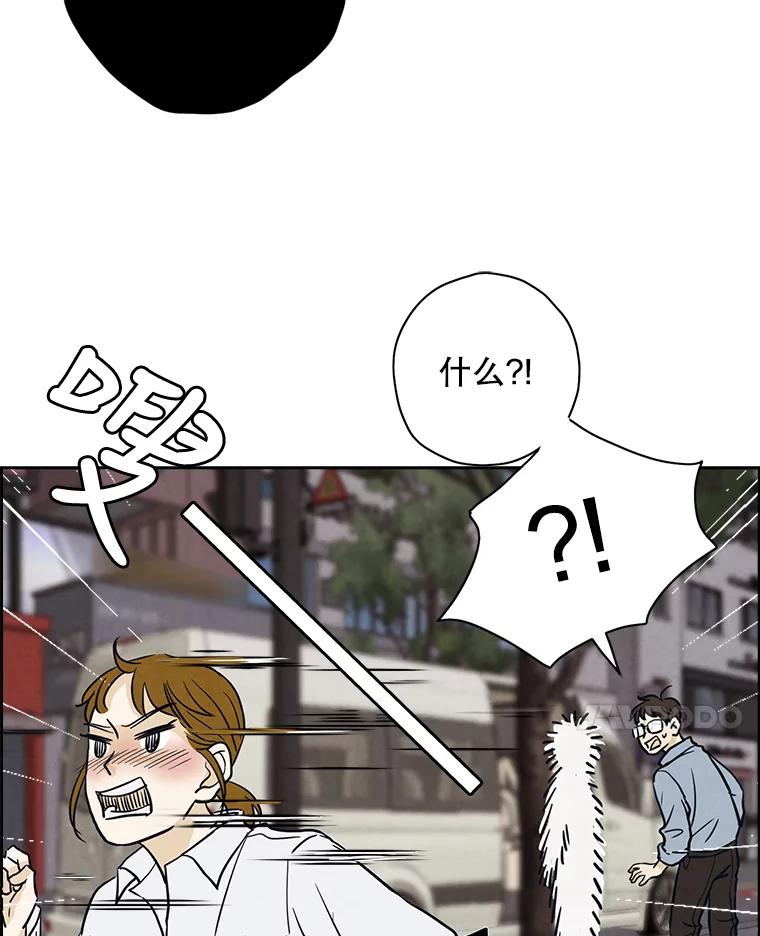 《消失的新郎》46.黑色影子 第34页