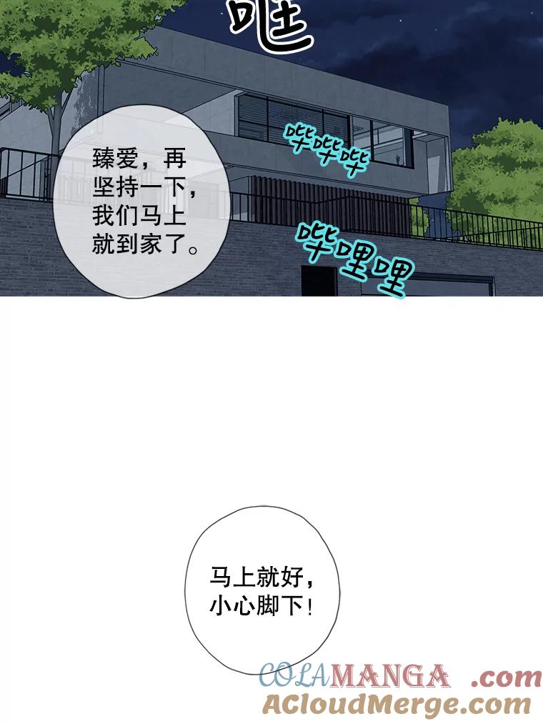 《消失的新郎》46.黑色影子 第45页