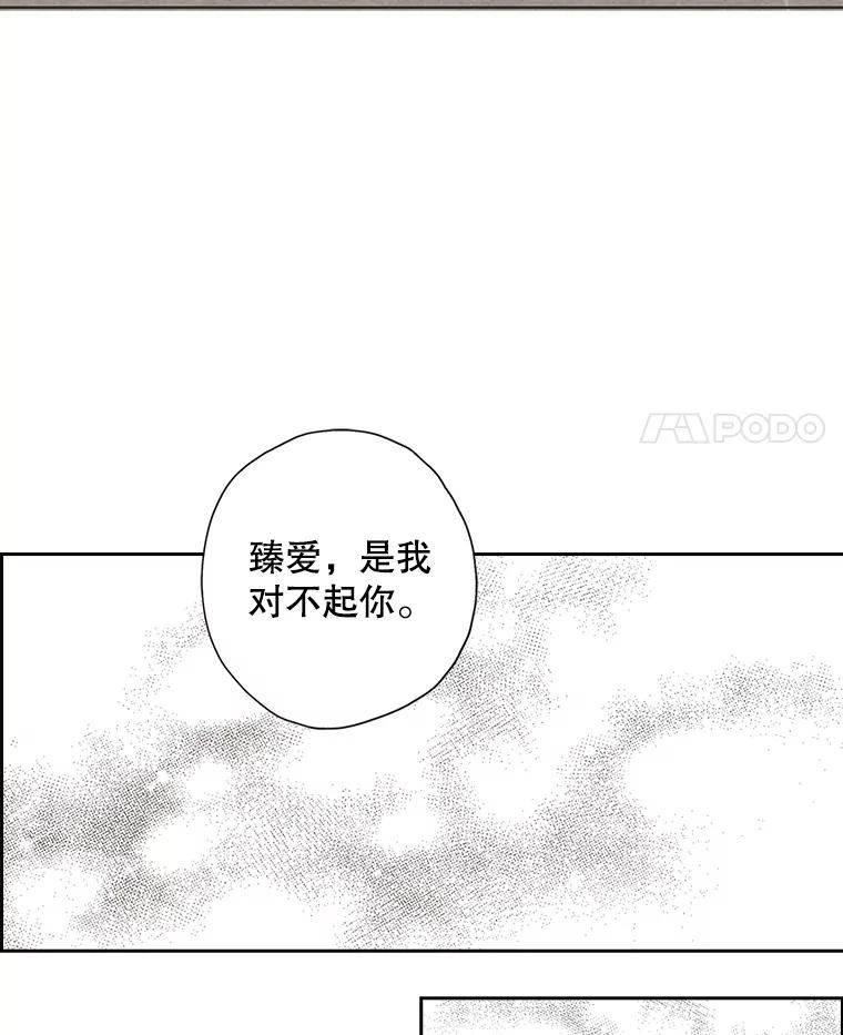 《消失的新郎》46.黑色影子 第83页