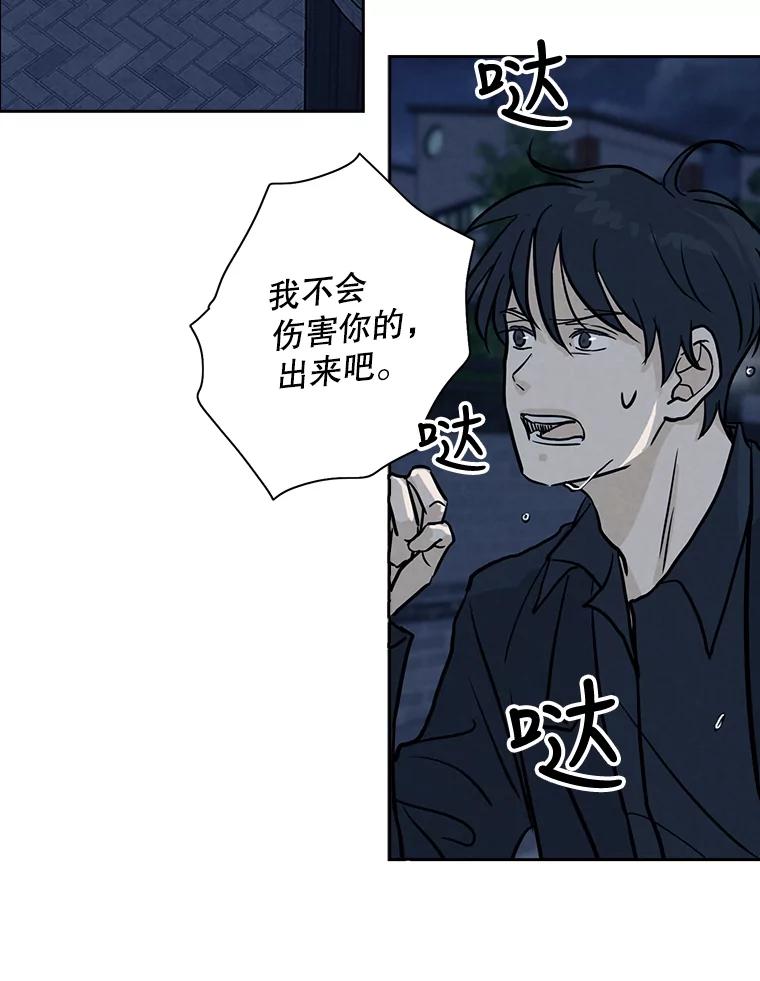《消失的新郎》47.那个家伙 第66页