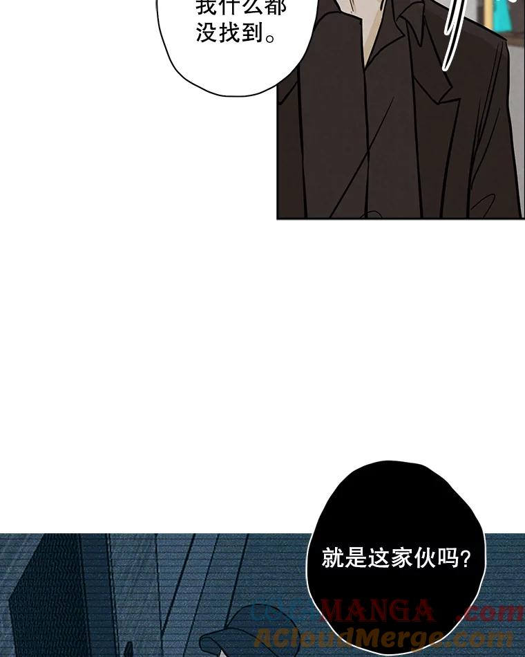 《消失的新郎》47.那个家伙 第81页