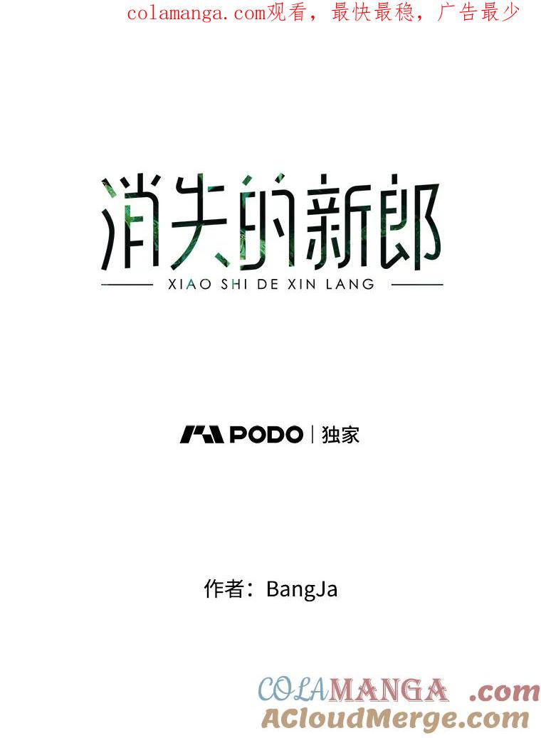 《消失的新郎》47.那个家伙 第1页