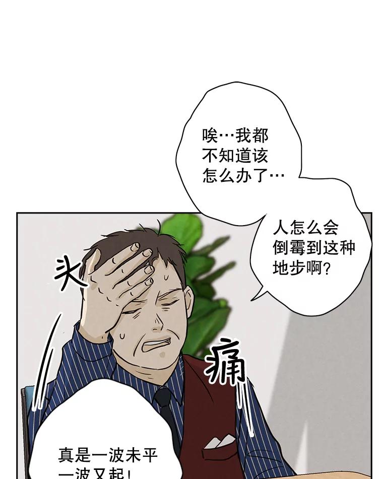 《消失的新郎》48.凶梦 第36页
