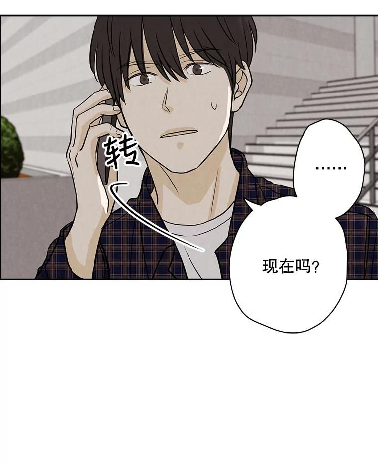 《消失的新郎》48.凶梦 第57页