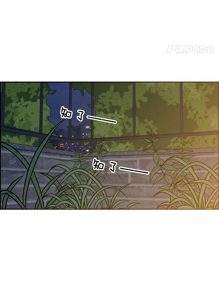 《消失的新郎》49.安慰 第82页