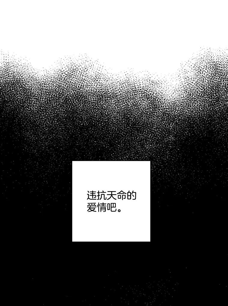 《消失的新郎》49.安慰 第46页