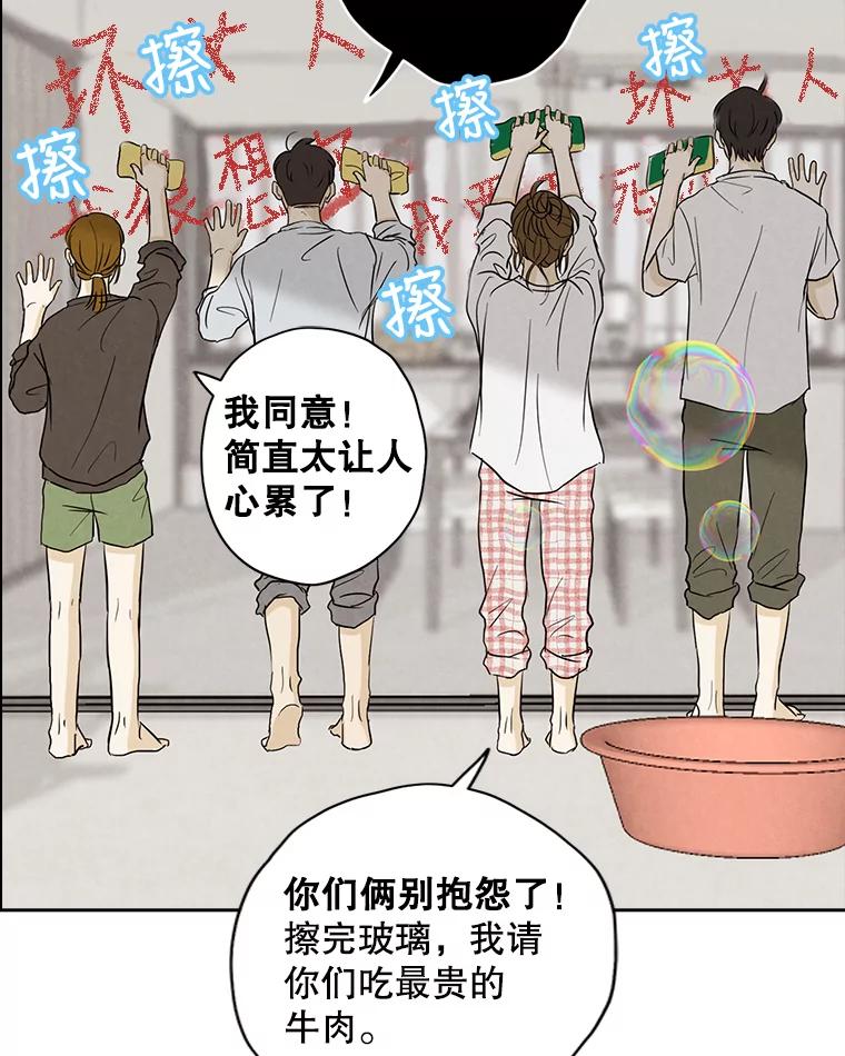 《消失的新郎》49.安慰 第67页