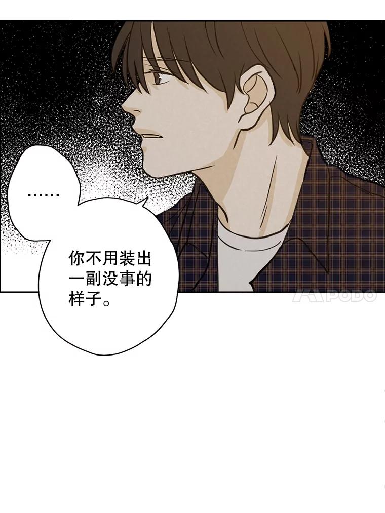 《消失的新郎》49.安慰 第88页