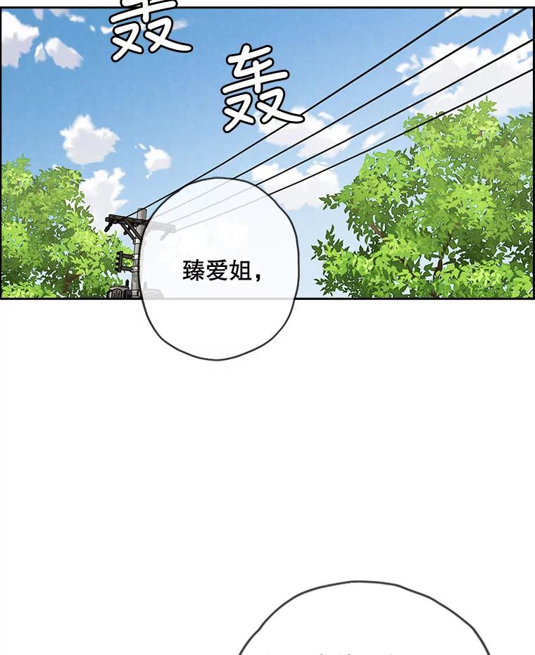 《消失的新郎》50.不定期入坑 第23页