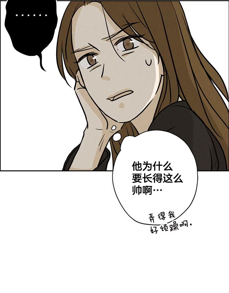 《消失的新郎》50.不定期入坑 第32页