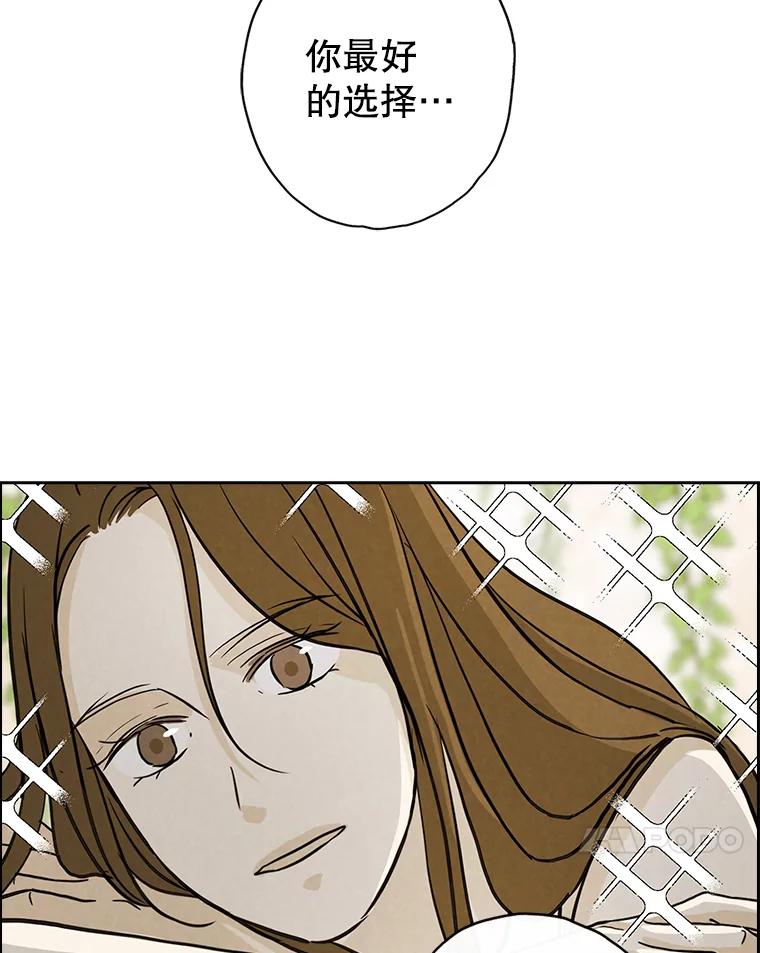 《消失的新郎》50.不定期入坑 第51页