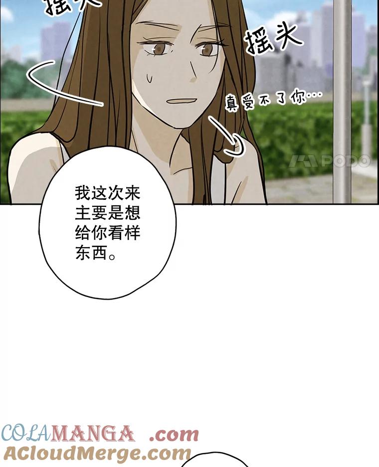《消失的新郎》50.不定期入坑 第85页