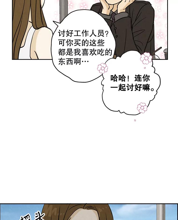 《消失的新郎》50.不定期入坑 第84页