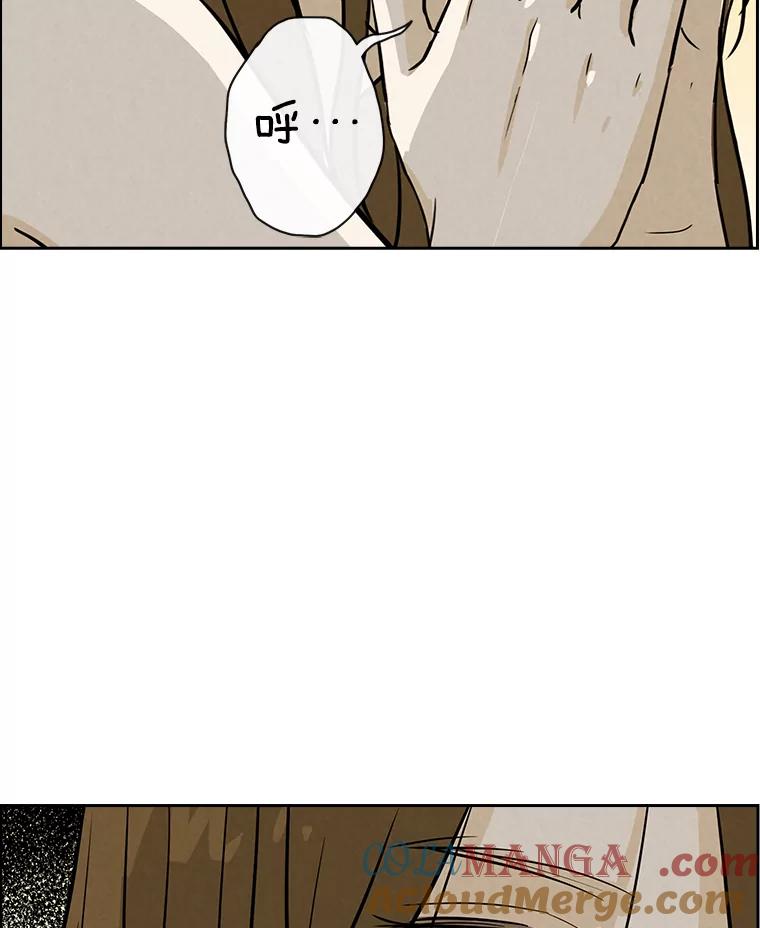 《消失的新郎》50.不定期入坑 第97页