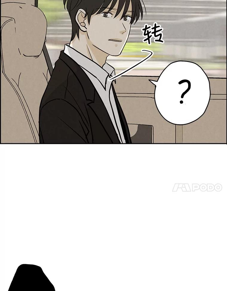 《消失的新郎》50.不定期入坑 第31页