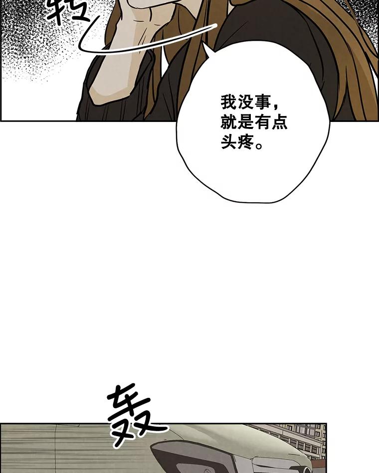 《消失的新郎》50.不定期入坑 第36页