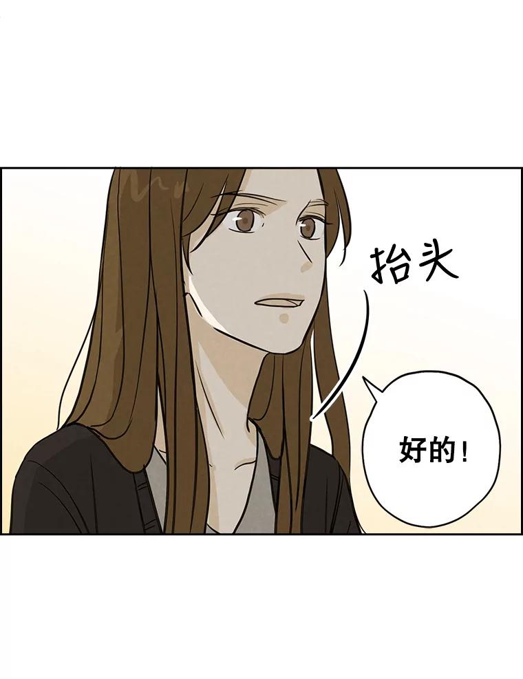 《消失的新郎》50.不定期入坑 第46页