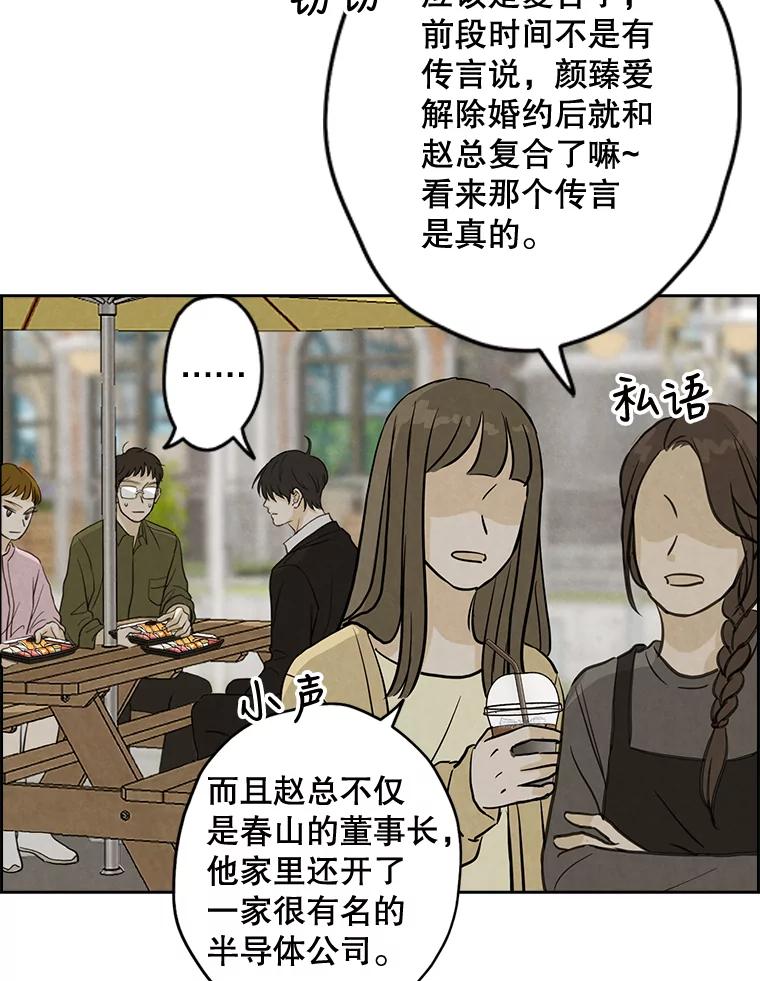 《消失的新郎》50.不定期入坑 第72页