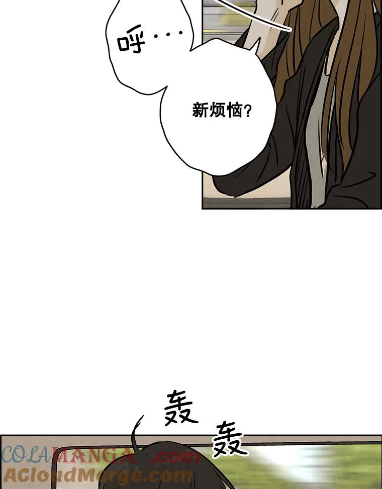 《消失的新郎》50.不定期入坑 第29页