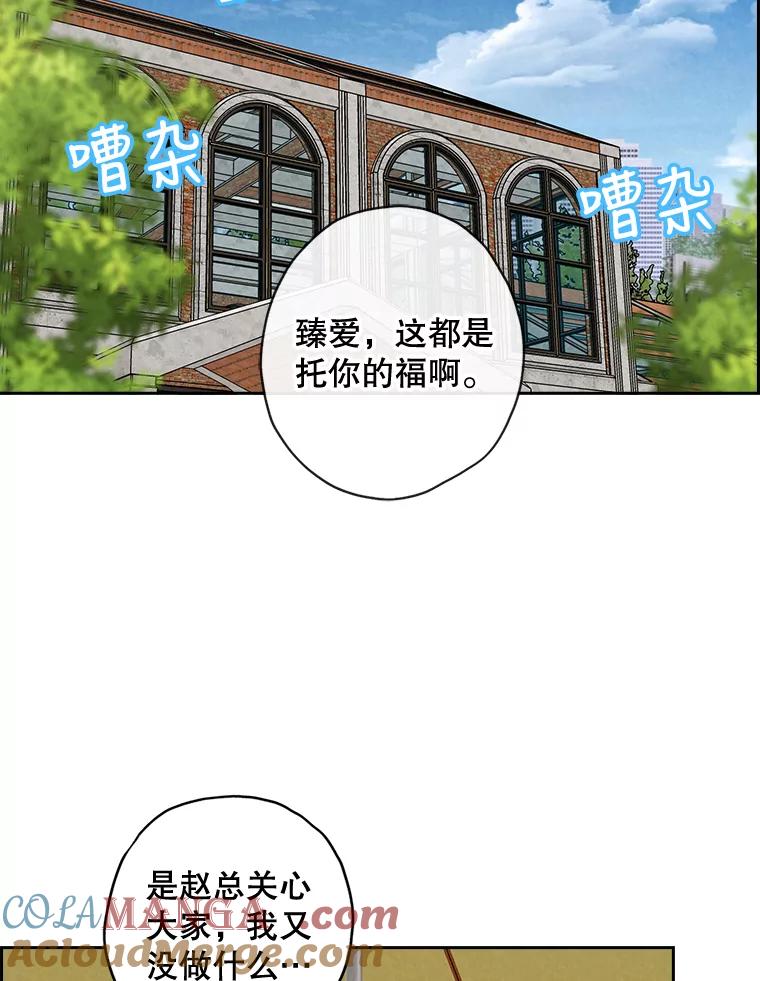 《消失的新郎》50.不定期入坑 第69页