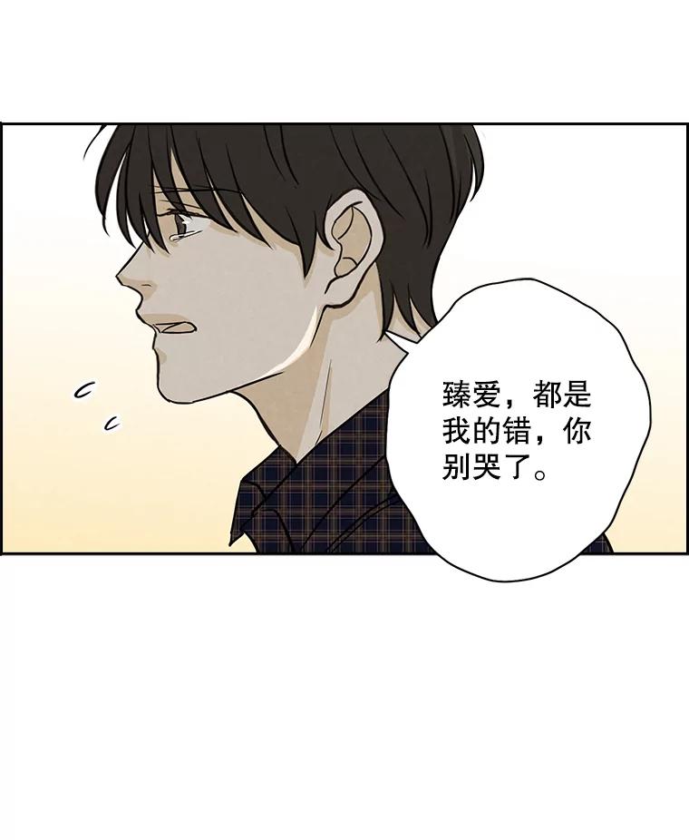 《消失的新郎》50.不定期入坑 第8页