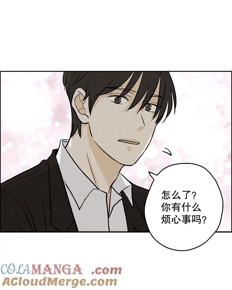 《消失的新郎》50.不定期入坑 第33页