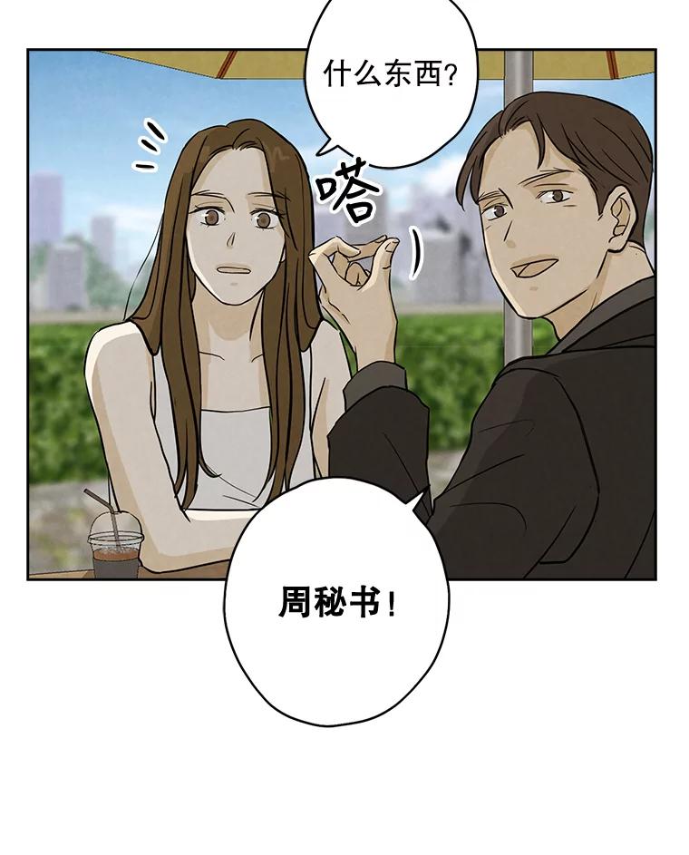 《消失的新郎》50.不定期入坑 第86页