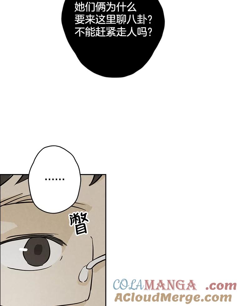 《消失的新郎》50.不定期入坑 第77页