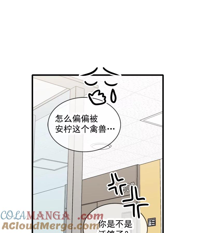 《急诊恋爱物语》63.你真的迷上我了吗？ 第37页