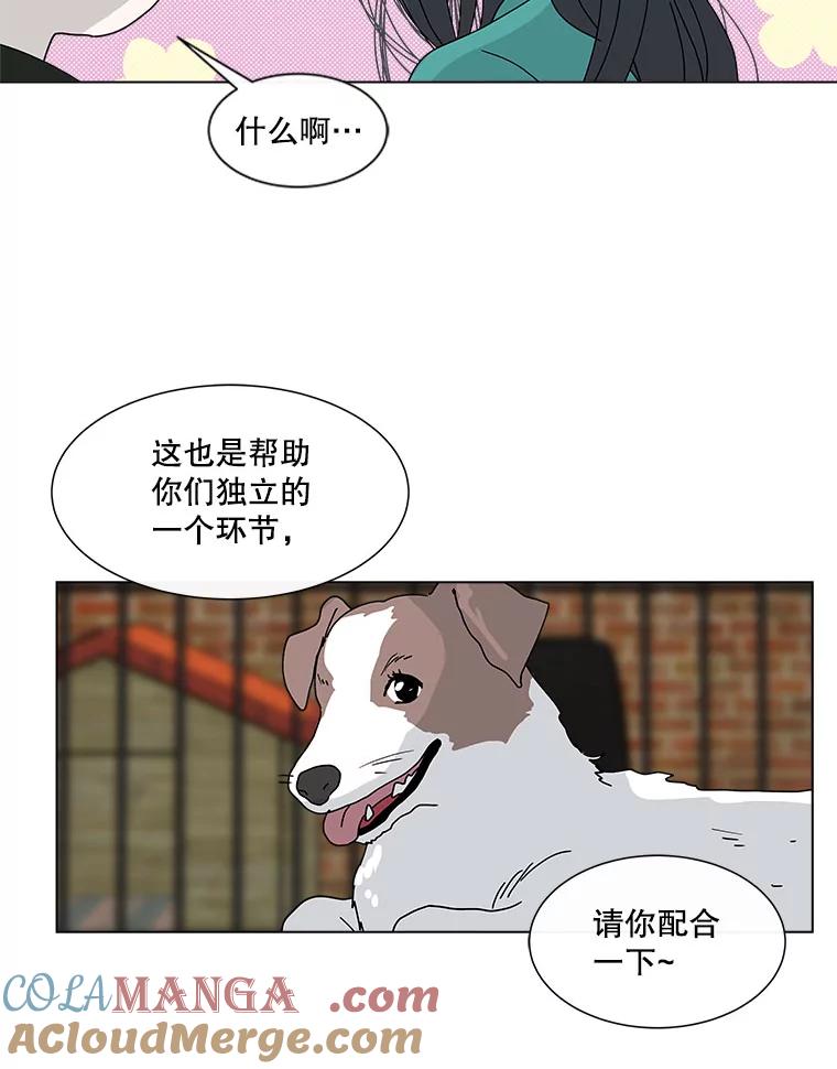 《青春之家》71.篝火晚会2 第49页