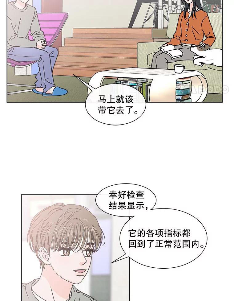 《青春之家》93.露营邀请 第36页